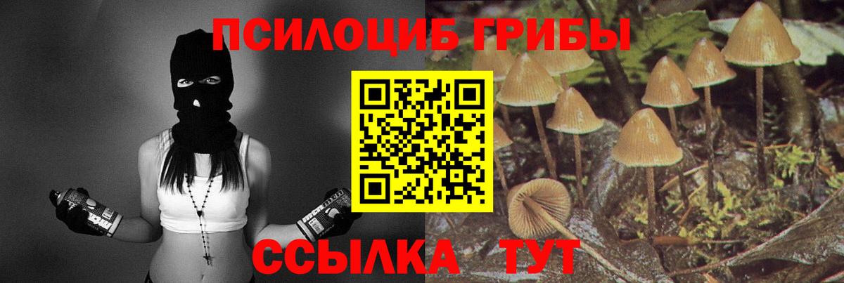 Псилоцибиновые грибы ЛСД Топки